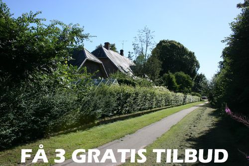 3 tilbud: På bare en til fire dage, får du hele 3 tilbud