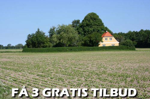 Gratis tilbud: Du kan rekvirere assistance fra fleksible fagfolk