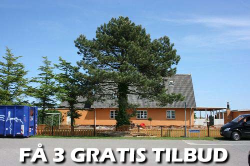 3 tilbud: Find i dag 3 gratis tilbud fra glimrende fagfolk