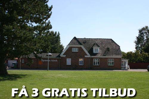 Gratis tilbud: Bedste kvalitet til en billig pris